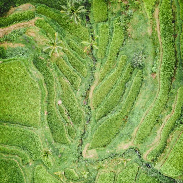 Outdoor terrace seating suitable for families in Firenze